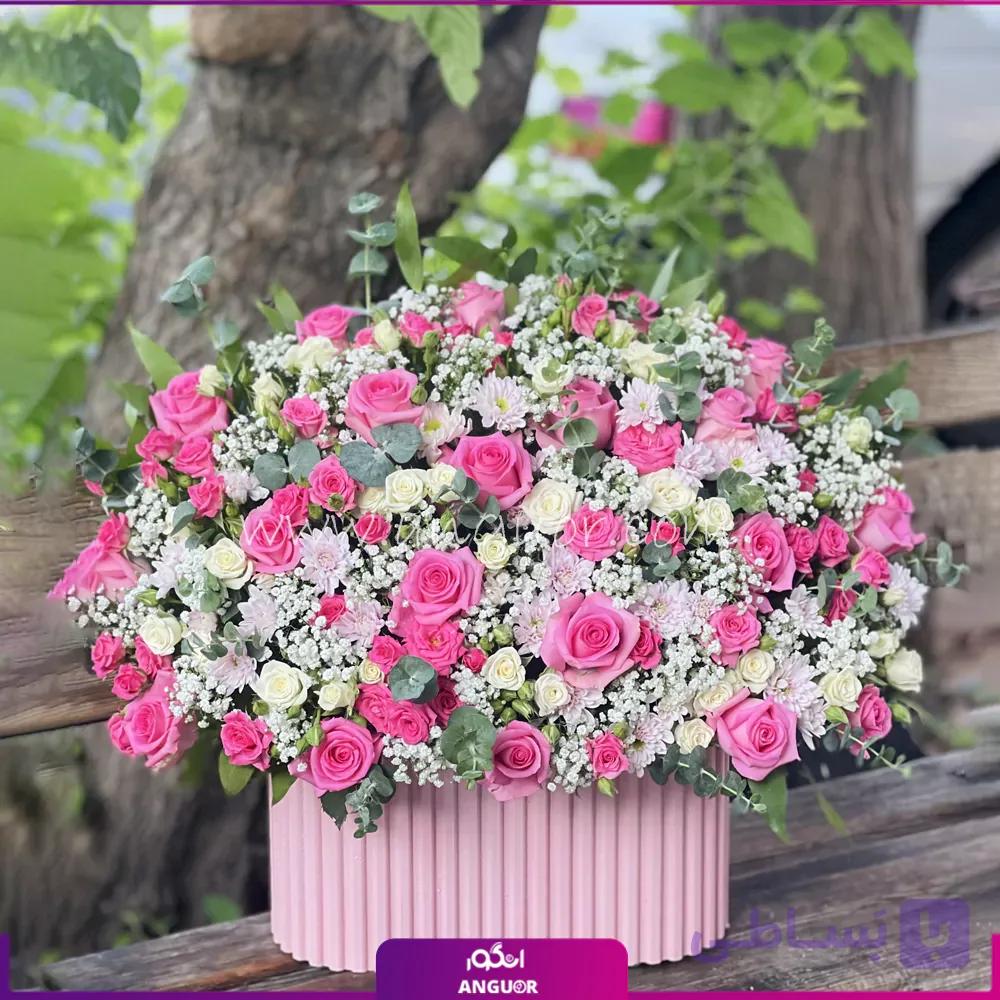 باکس گل جوانه شادی