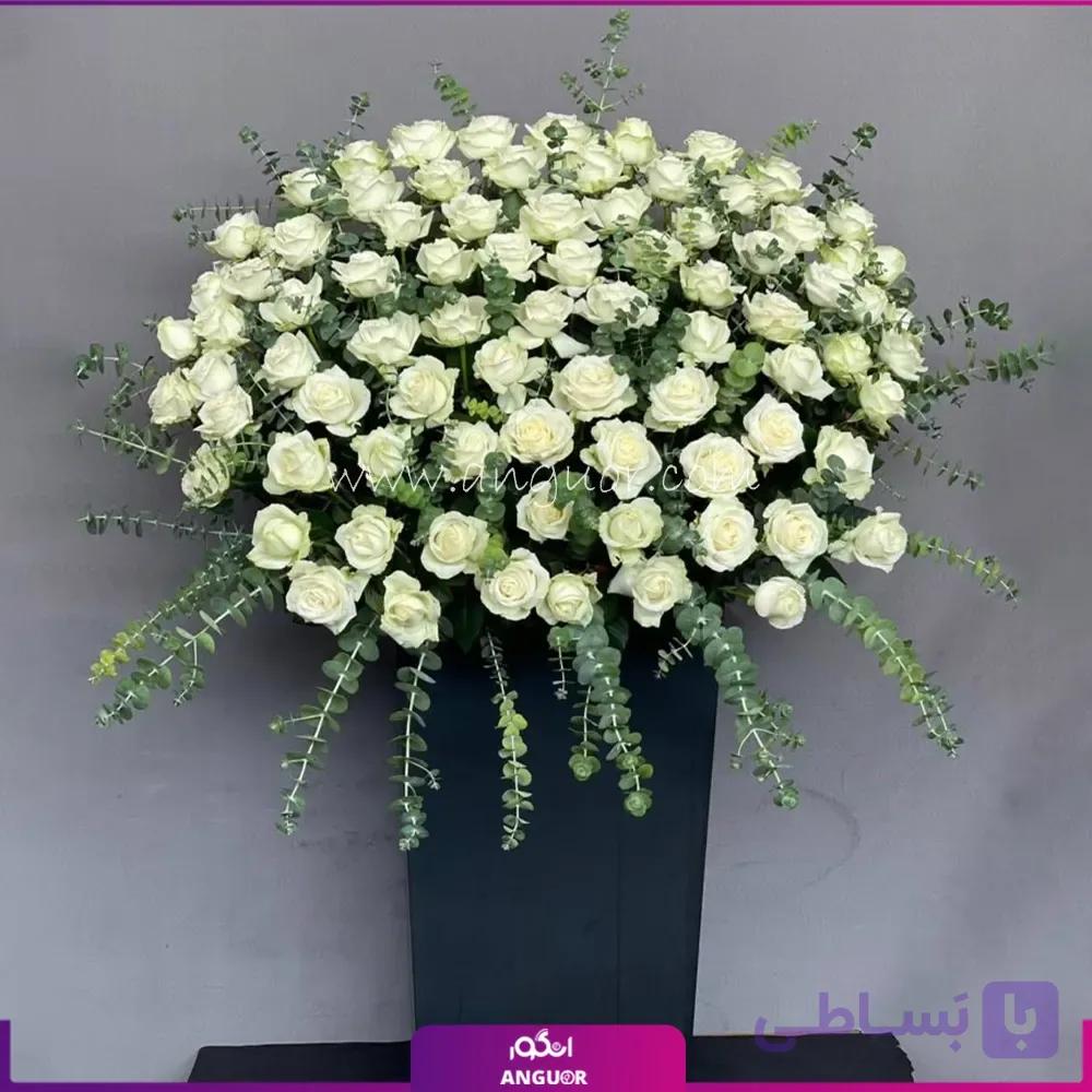 باکس گل 85 شاخه ای رز سفید