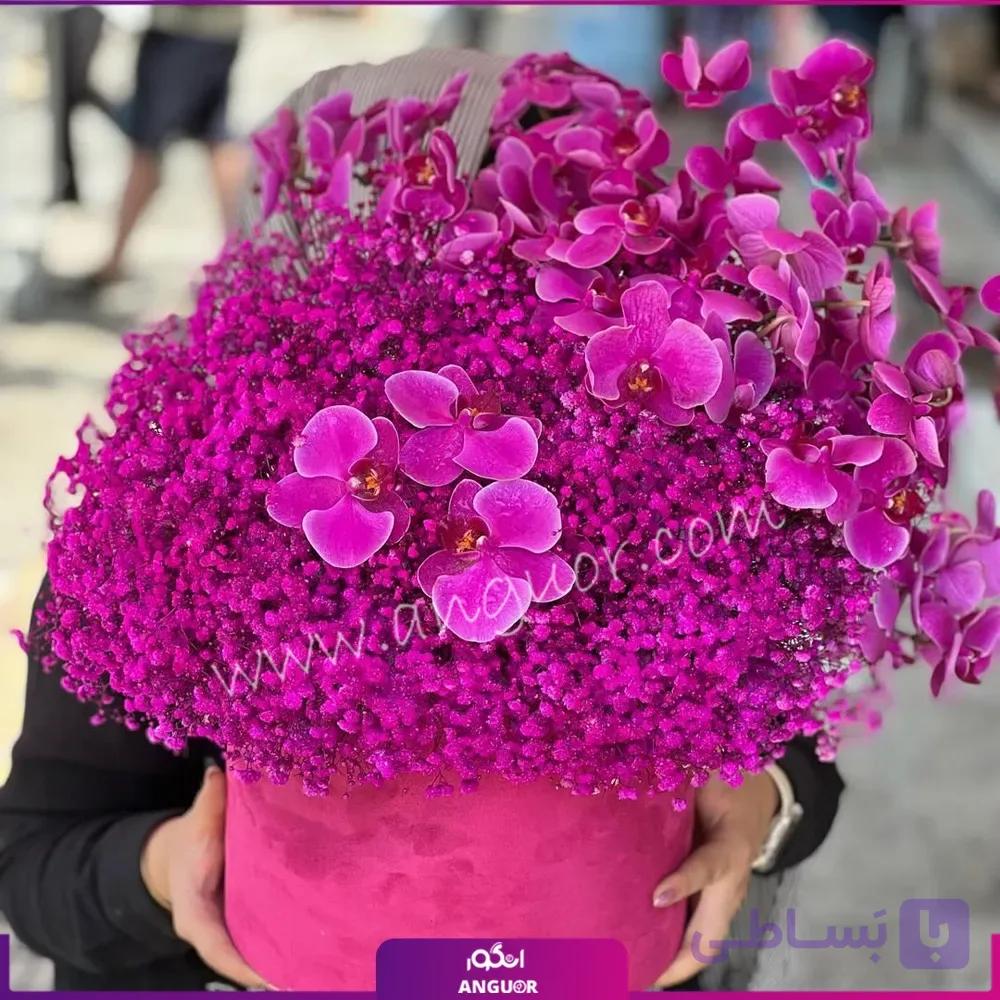 باکس گل ارکیده و ژیپسوفیلای صورتی