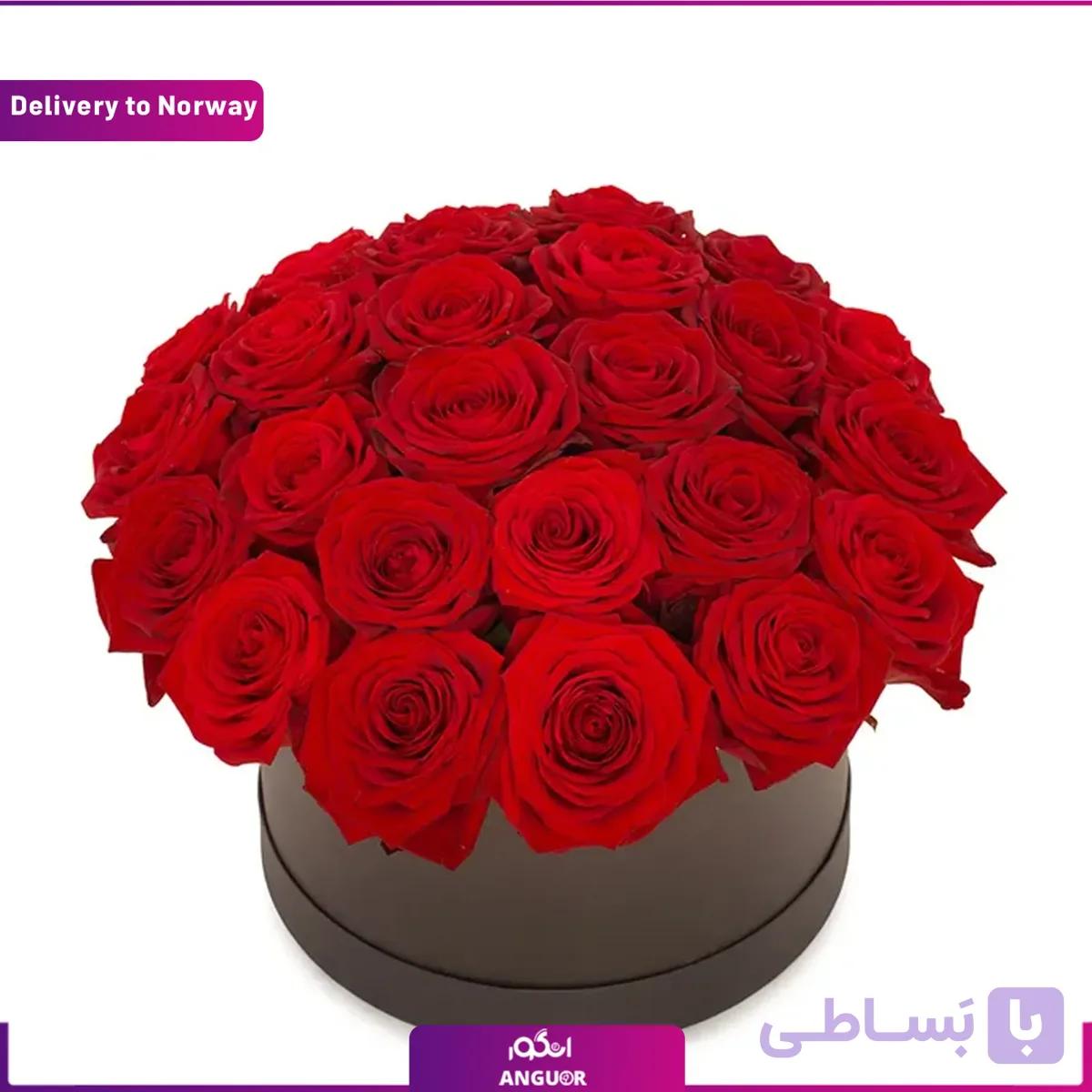 باکس گل رز لوکس (تحویل در نروژ)
