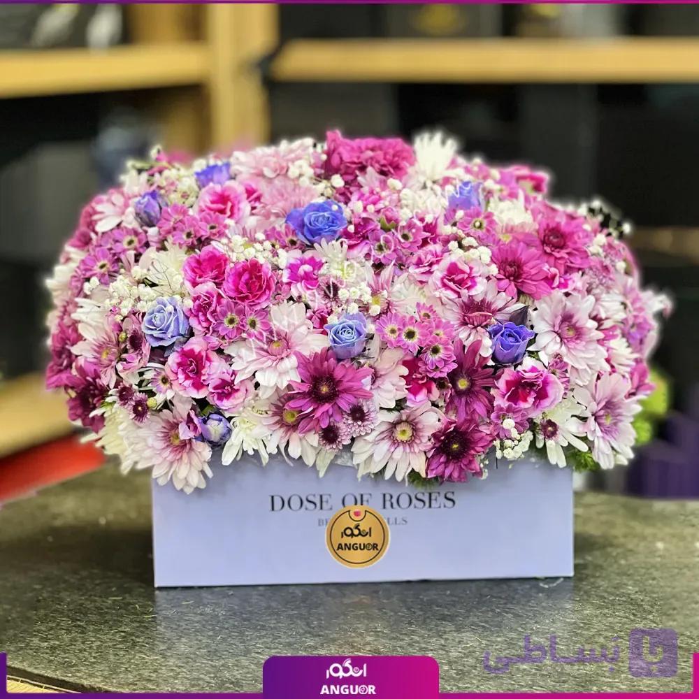 باکس گل آغاز باشکوه