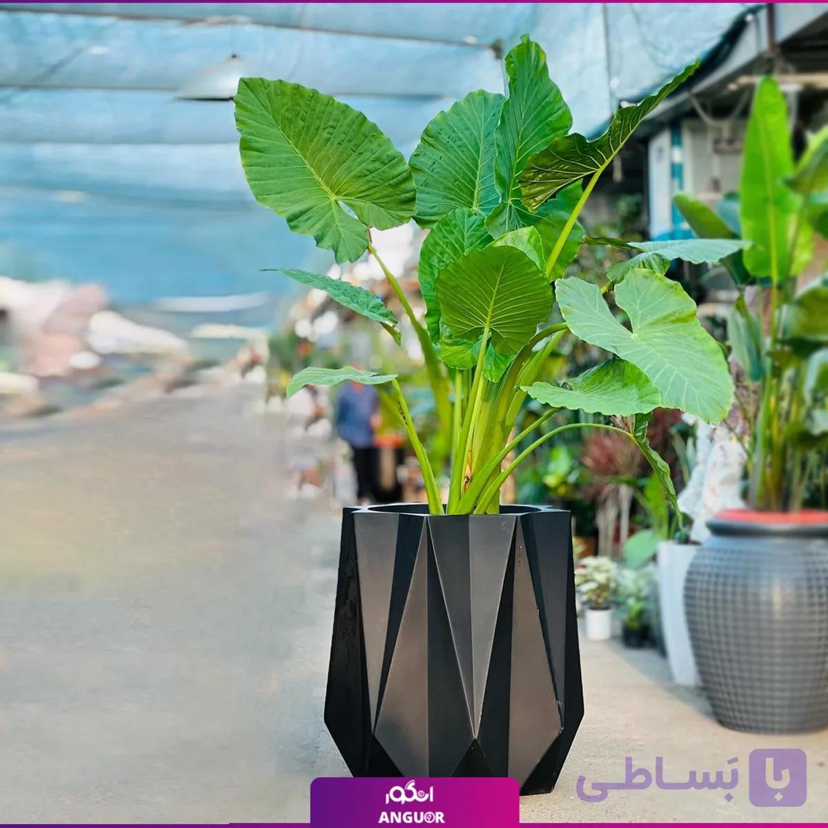 گلدان هدیه فایبرگلاس بابا آدم سایز بزرگ