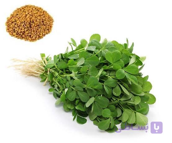 بذر سبزی شنبلیله ایرانی فله