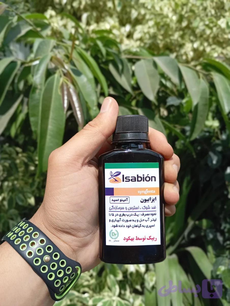 آمینو اسید ایزابیون سینجنتا