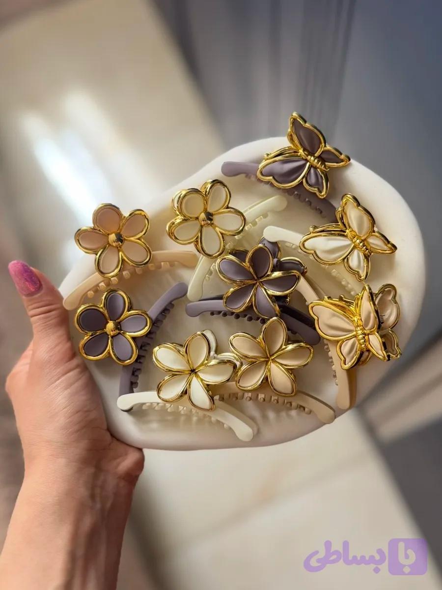 کلیپس گل و پروانه
