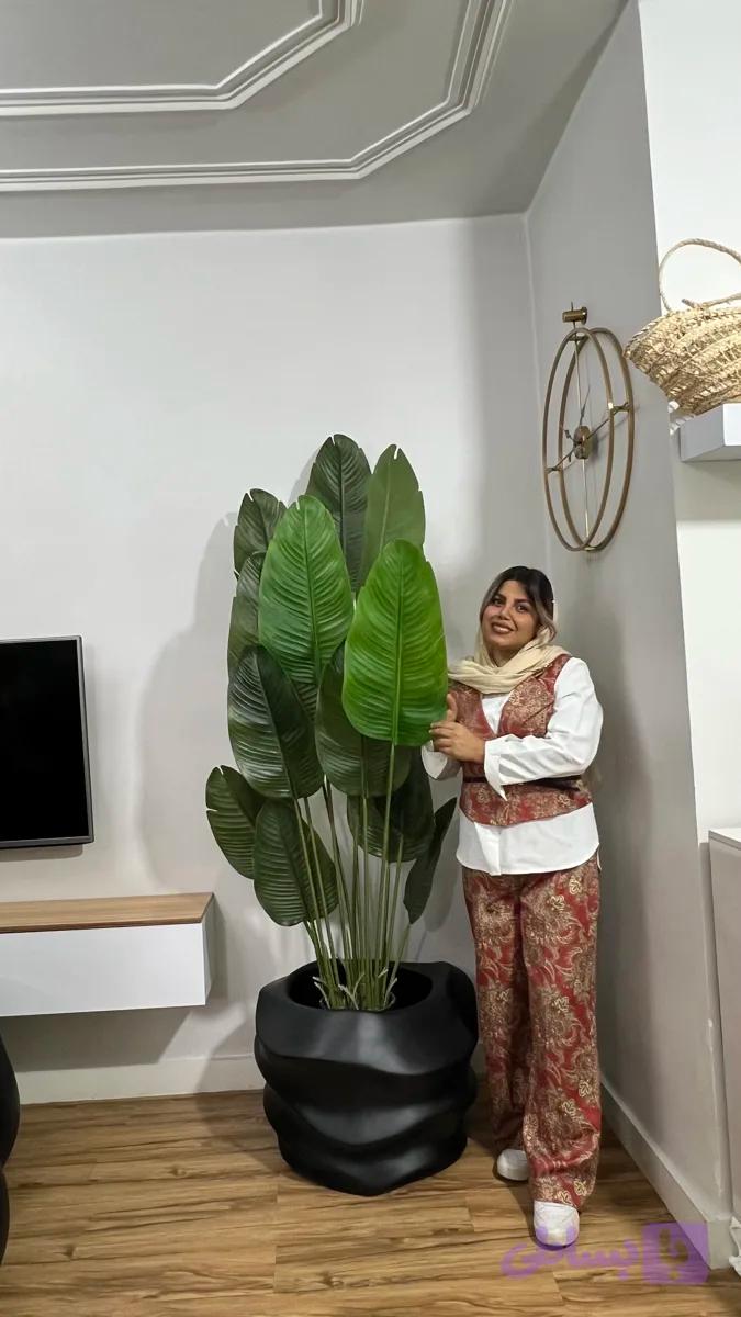 درختچه مصنوعی وارداتی نخل نیکولای قد ۱۹۰