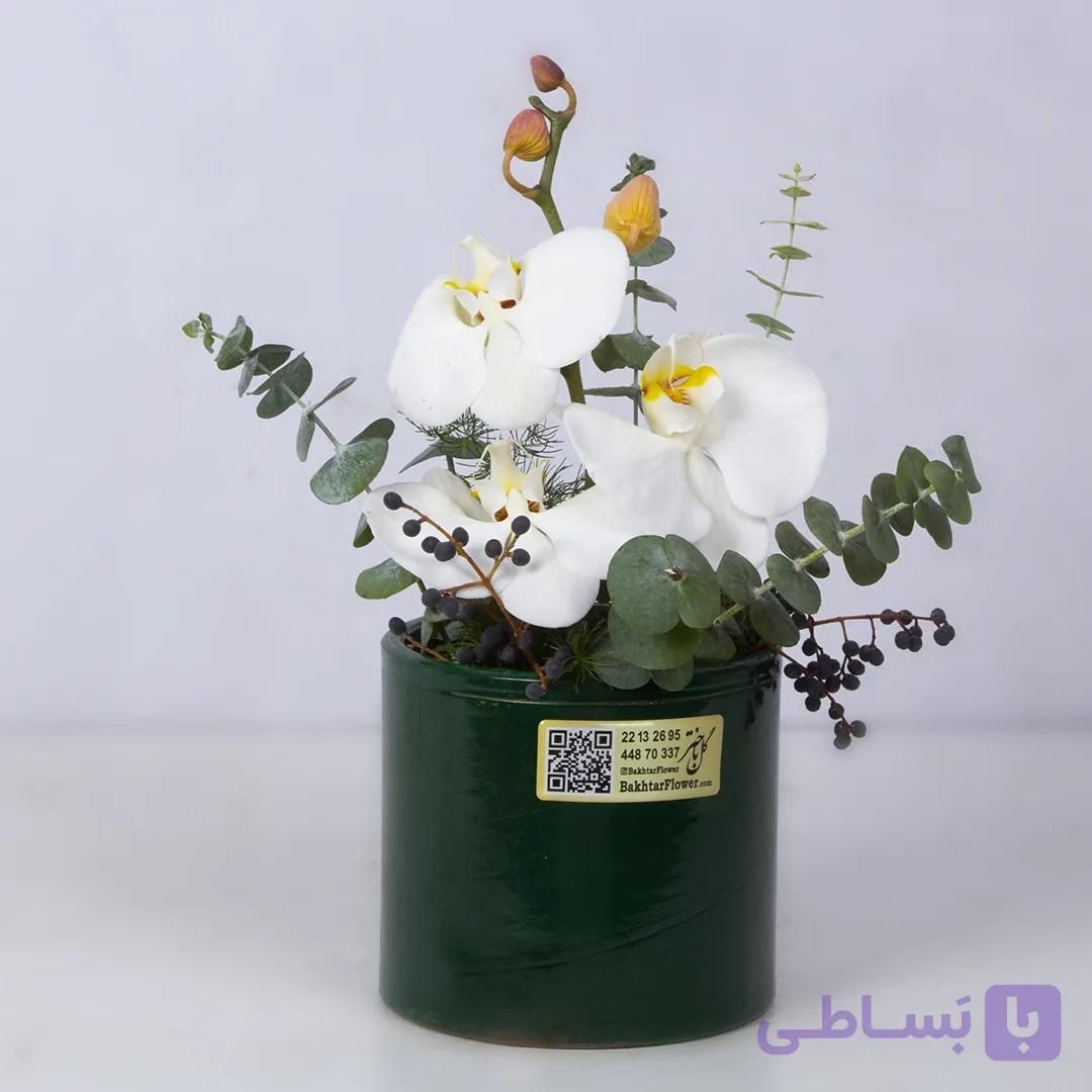 باکس گل ارکیده کد 4020 +ارسال 3 ساعته |باختر